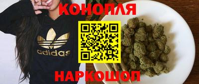 гашик Лесосибирск