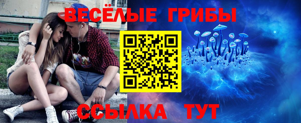 Псилоцибиновые грибы прущие грибы  Вход с VPN  Галлюциногенные грибы ЛСД  Иркутск 